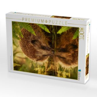 Produktbild: CALVENDO Puzzle Der Igel stillt seinen Durst am Spiegel der Natur | 1000 Teile Lege-Gr&ouml;&szlig;e 64x48cm Foto-Puzzle f&uuml;r gl&uuml;ckliche Stunden