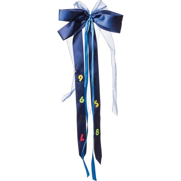 Produktbild: Nestler Schult&uuml;tenschleifen dunkelblau/hellblau 23x50cm