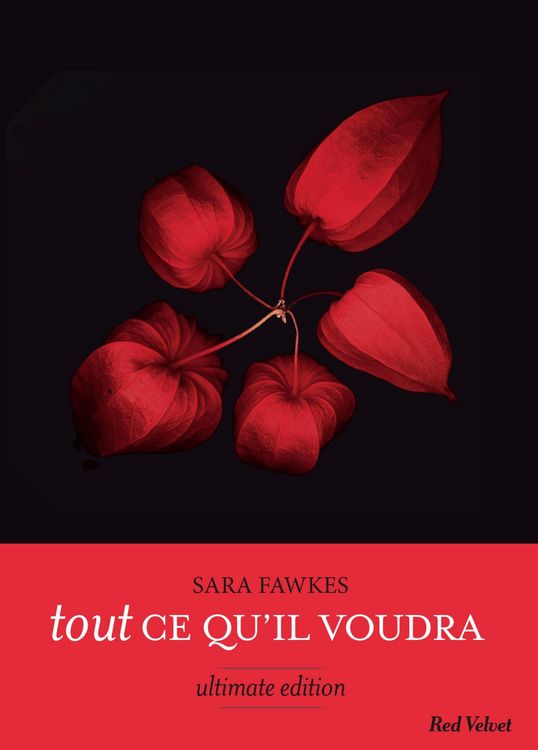 Produktbild: Tout ce qu'il voudra - Ultimate edition