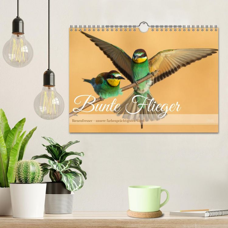 Produktbild: Bunte Flieger (Wandkalender 2026 DIN A4 quer), CALVENDO Monatskalender