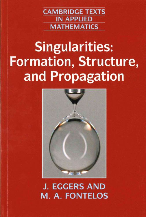 Produktbild: Singularities: Formation, Structure, and Propagation
