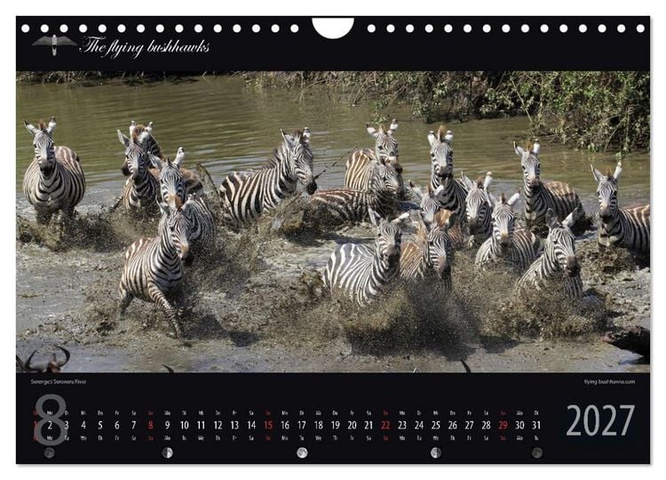 Produktbild: Tansania Blickwinkel 2027 (Wandkalender 2027 DIN A4 quer), CALVENDO Monatskalender