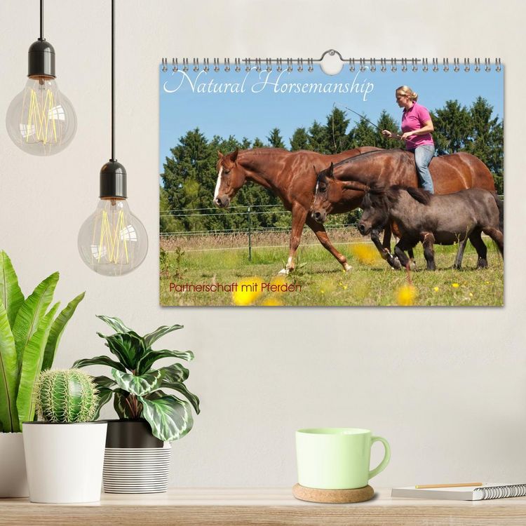 Produktbild: Natural Horsemanship - Partnerschaft mit Pferden (Wandkalender 2026 DIN A4 quer), CALVENDO Monatskalender