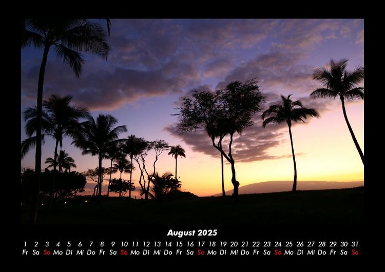 Produktbild: Palmen 2025 Fotokalender DIN A3