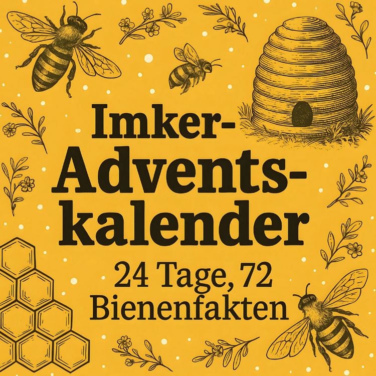 Produktbild: Imker Adventskalender | 24 Tage, 72 Bienenfakten