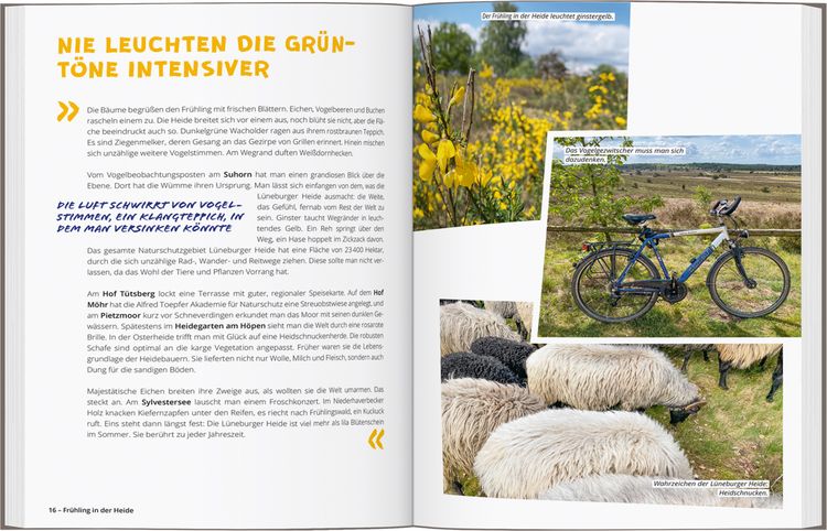 Produktbild: DUMONT Radelzeit in der L&uuml;neburger Heide