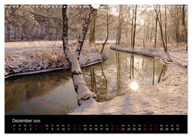 Produktbild: Der Waldspaziergang (Wandkalender 2026 DIN A3 quer), CALVENDO Monatskalender