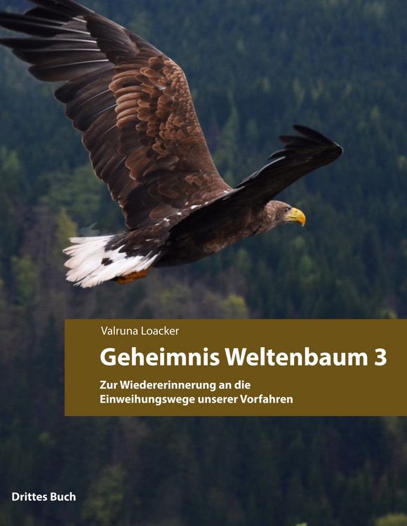Produktbild: Geheimnis Weltenbaum