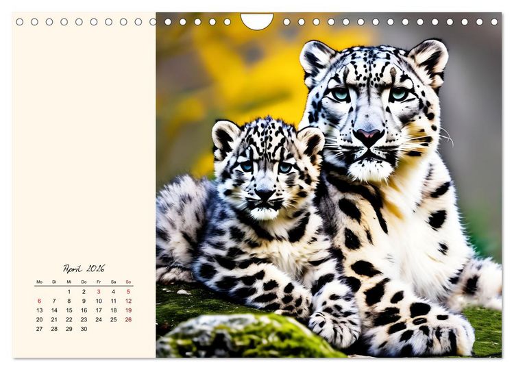 Produktbild: Im Reich der Schneeleoparden (Wandkalender 2026 DIN A4 quer), CALVENDO Monatskalender