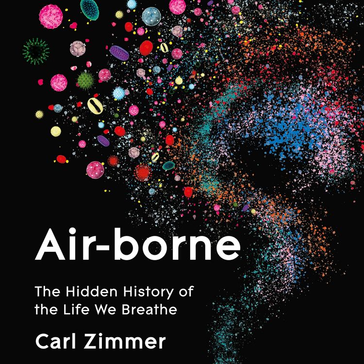 Produktbild: Air-Borne
