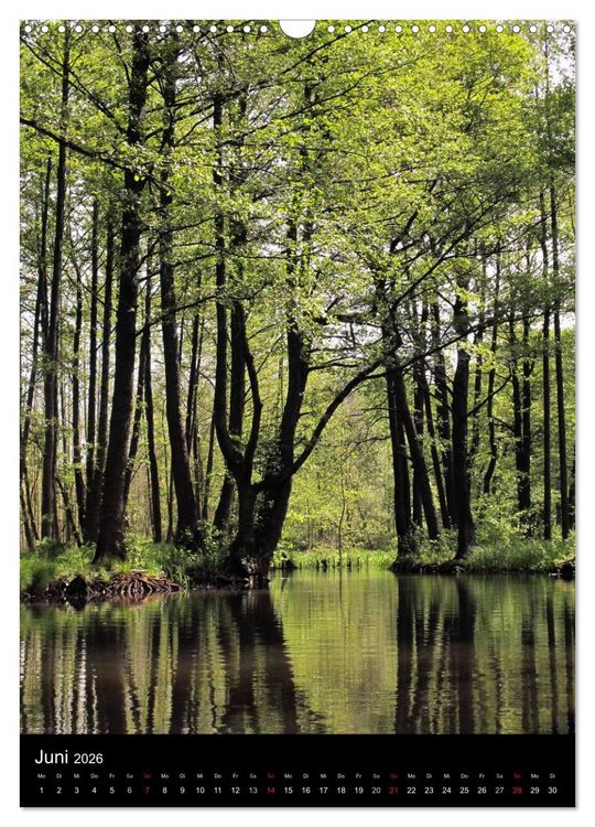 Produktbild: Land Brandenburg im Wechsel der Jahreszeiten (Wandkalender 2026 DIN A3 hoch), CALVENDO Monatskalender