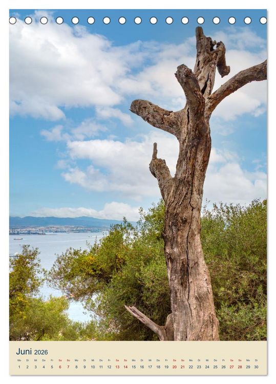 Produktbild: Gibraltar - Die Heimat der Berberaffen auf dem Rock (Tischkalender 2026 DIN A5 hoch), CALVENDO Monatskalender