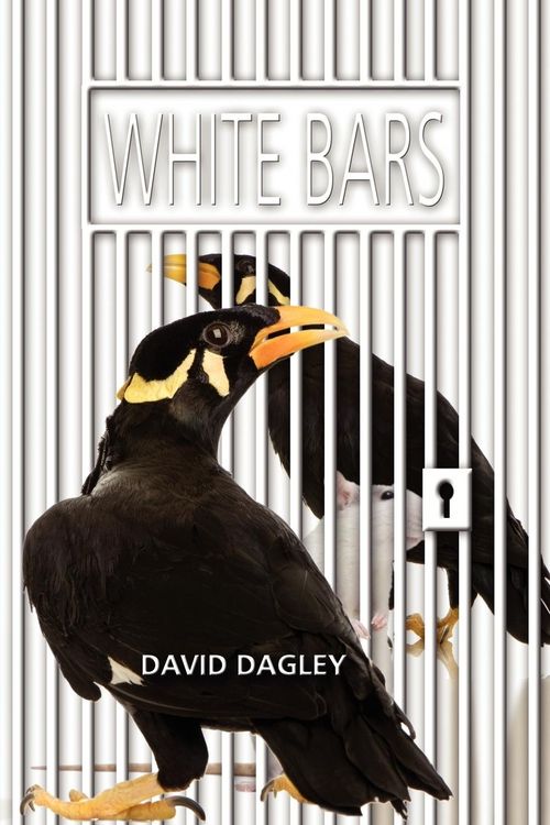 Produktbild: White Bars