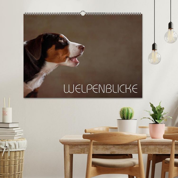 Produktbild: Welpenblicke (Wandkalender 2026 DIN A2 quer), CALVENDO Monatskalender