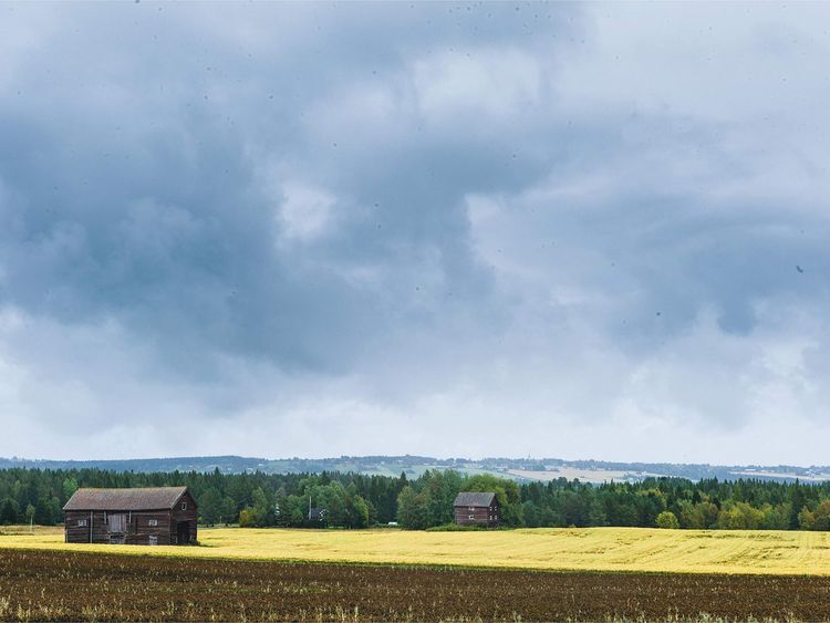 Produktbild: The Nordic Baking Book