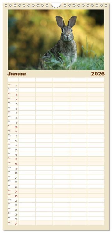 Produktbild: Familienplaner 2026 - Hasen - Die niedlichen Hoppeltiere. mit 5 Spalten (Wandkalender, 21 x 45 cm) CALVENDO