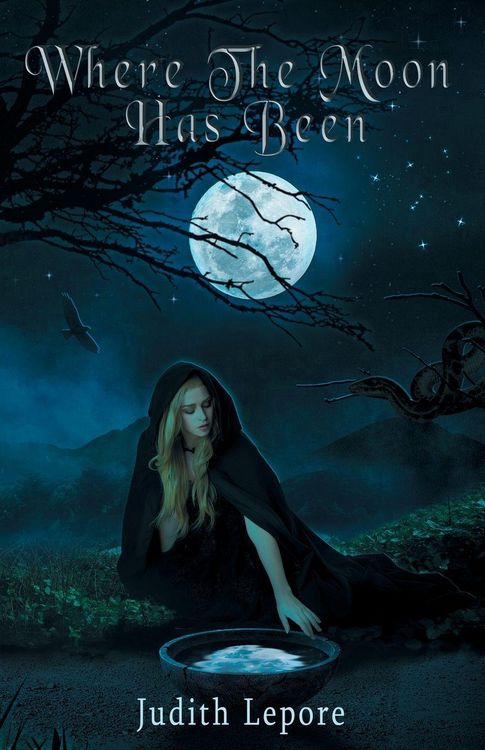 Produktbild: Where the Moon Has Been