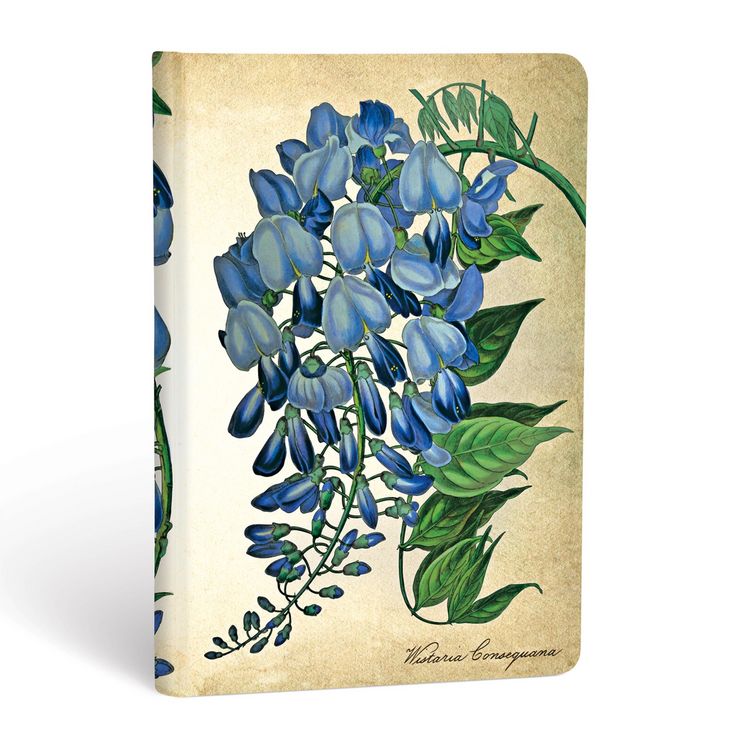 Produktbild: Hardcover Notizbuch Bl&uuml;hende Glyzinie, Mini, Liniert