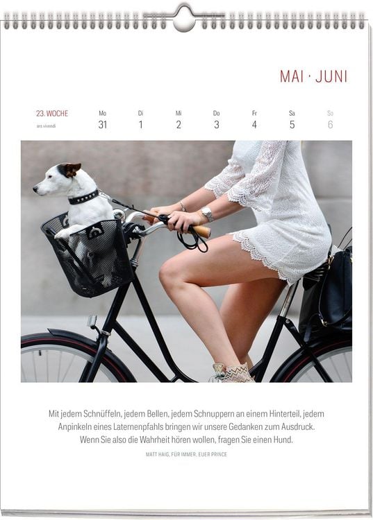 Produktbild: Literarischer Fahrrad Kalender 2027