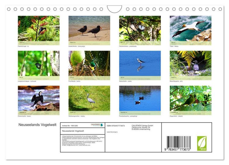 Produktbild: Neuseelands Vogelwelt (Wandkalender 2026 DIN A4 quer), CALVENDO Monatskalender