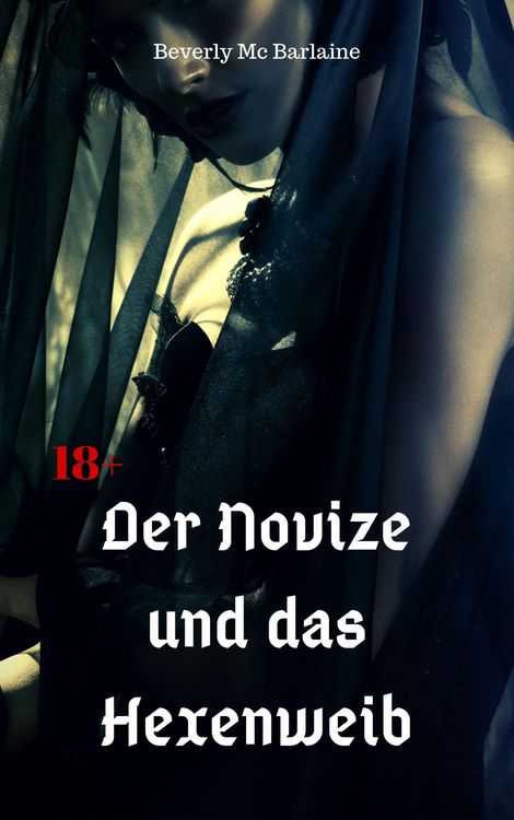 Produktbild: Der Novize und das Hexenweib