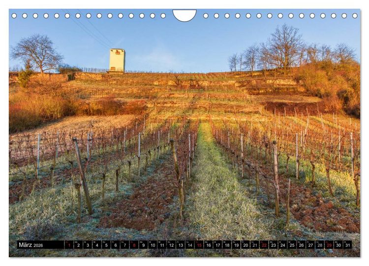 Produktbild: Weinlagen in Franken (Wandkalender 2026 DIN A4 quer), CALVENDO Monatskalender