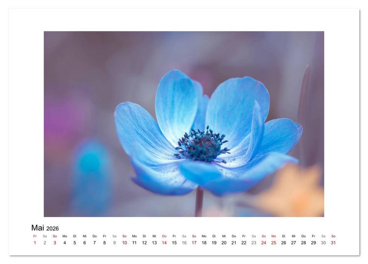 Produktbild: Blauer Bl&uuml;tentraum (Tischkalender 2026 DIN A5 quer), CALVENDO Monatskalender