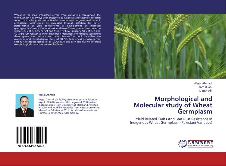 Produktbild: Morphological and Molecular study of Wheat Germplasm