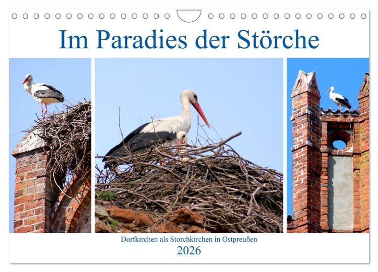 Produktbild: Im Paradies der St&ouml;rche - Dorfkirchen als Storchkirchen in Ostpreu&szlig;en (Wandkalender 2026 DIN A4 quer), CALVENDO Monatskalender