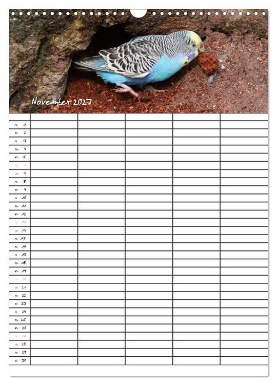 Produktbild: Wellensittiche (Wandkalender 2027 DIN A3 hoch), CALVENDO Monatskalender