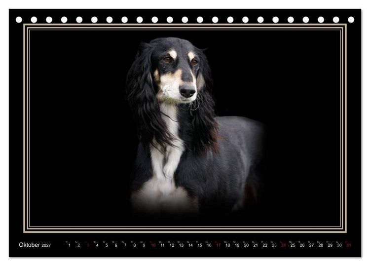 Produktbild: Saluki 2027 (Tischkalender 2027 DIN A5 quer), CALVENDO Monatskalender