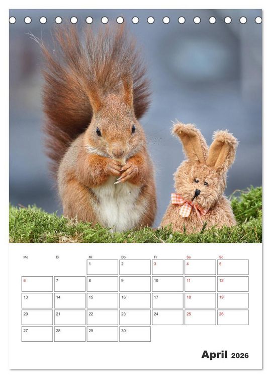 Produktbild: Eichh&ouml;rnchen Luna (Tischkalender 2026 DIN A5 hoch), CALVENDO Monatskalender