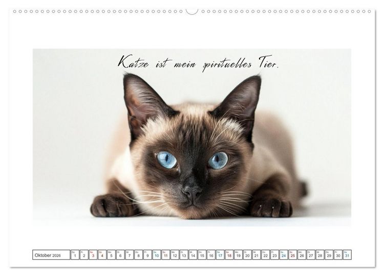 Produktbild: Katzenpower (Wandkalender 2026 DIN A2 quer), CALVENDO Monatskalender