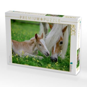 Produktbild: CALVENDO Puzzle Haflingerstute mit Fohlen | 1000 Teile Lege-Gr&ouml;&szlig;e 64x48cm Foto-Puzzle f&uuml;r gl&uuml;ckliche Stunden