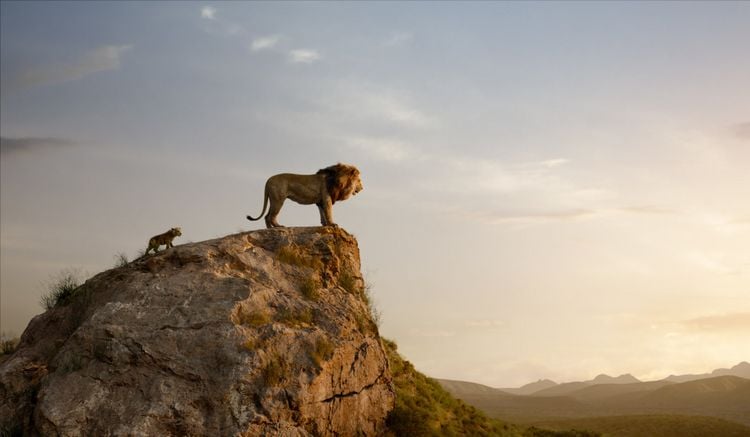 Produktbild: Der K&ouml;nig der L&ouml;wen