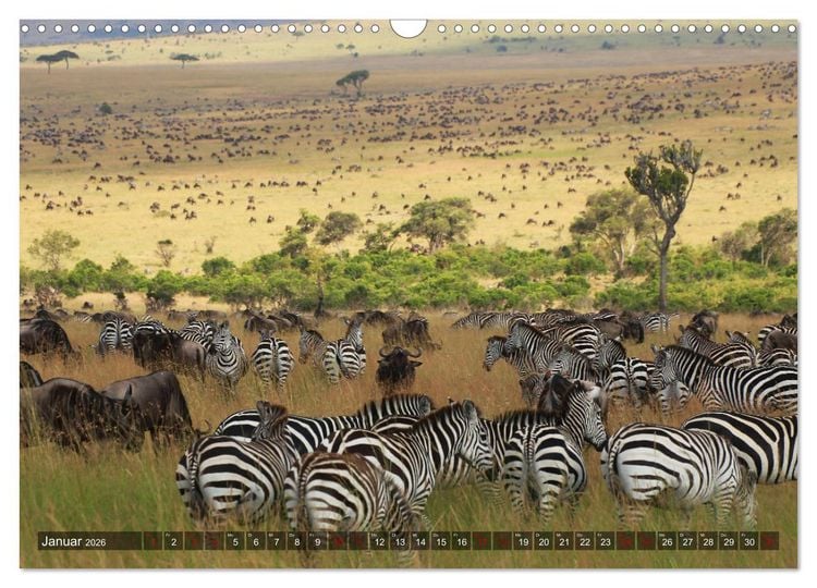 Produktbild: Afrika - Zauber der Wildnis (Wandkalender 2026 DIN A3 quer), CALVENDO Monatskalender