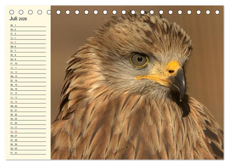 Produktbild: Greifv&ouml;gel (Tischkalender 2026 DIN A5 quer), CALVENDO Monatskalender