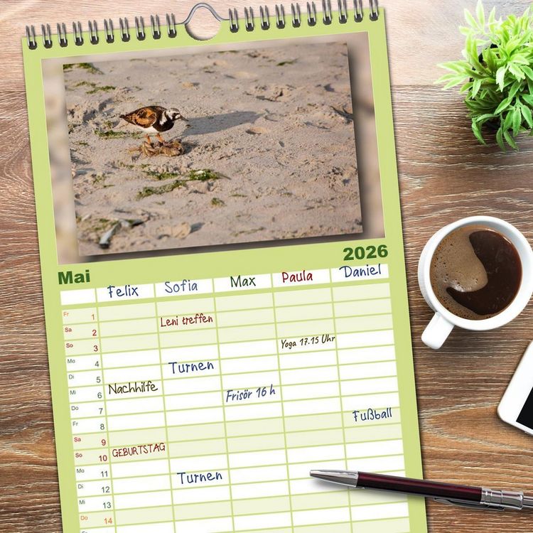 Produktbild: Familienplaner 2026 - Baltrum - Ein Tag am Strand mit 5 Spalten (Wandkalender, 21 x 45 cm) CALVENDO