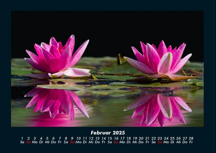 Produktbild: Rosentraum 2025 Fotokalender DIN A4