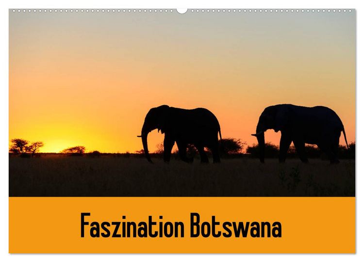 Produktbild: Faszination Botswana (Wandkalender 2026 DIN A2 quer), CALVENDO Monatskalender