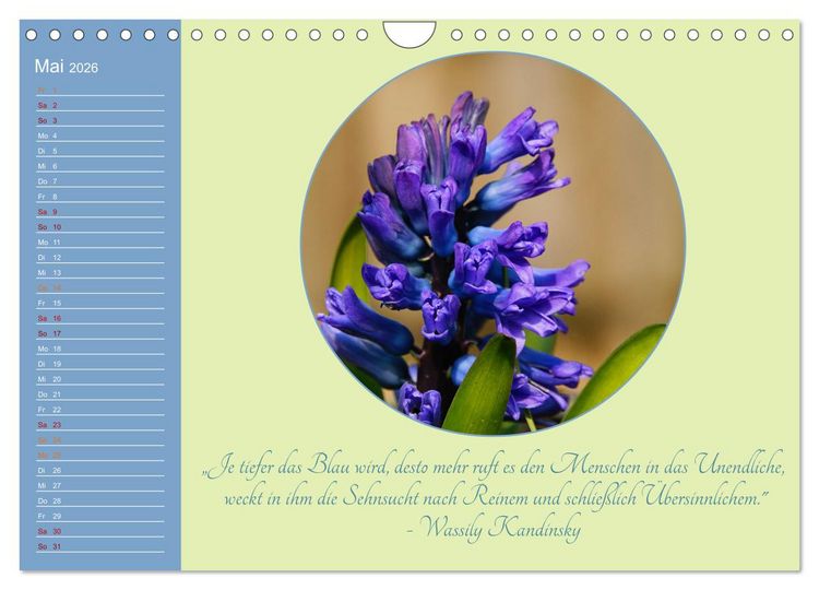 Produktbild: Flora in royalem Blau (Wandkalender 2026 DIN A4 quer), CALVENDO Monatskalender