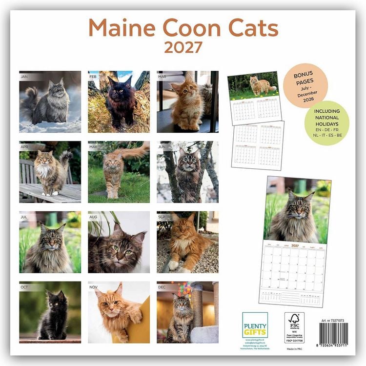 Produktbild: Maine Coon Cats &ndash; Main Coon Katzen 2027 &ndash; 18-Monatskalender &ndash; Original Plenty Gifts-Kalender [Mehrsprachig] [Kalender]