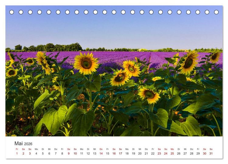 Produktbild: Tr&auml;ume aus Lavendel, Provence in Rosa bis Lila (Tischkalender 2026 DIN A5 quer), CALVENDO Monatskalender