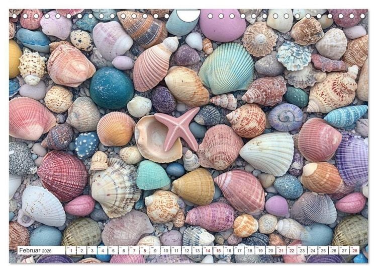 Produktbild: Sandgefl&uuml;ster und Muschelzauber (Wandkalender 2026 DIN A4 quer), CALVENDO Monatskalender