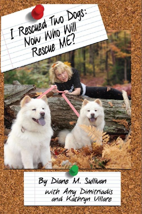 Produktbild: I Rescued Two Dogs
