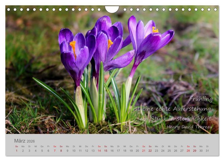 Produktbild: Jahres-Zeiten (Wandkalender 2026 DIN A4 quer), CALVENDO Monatskalender
