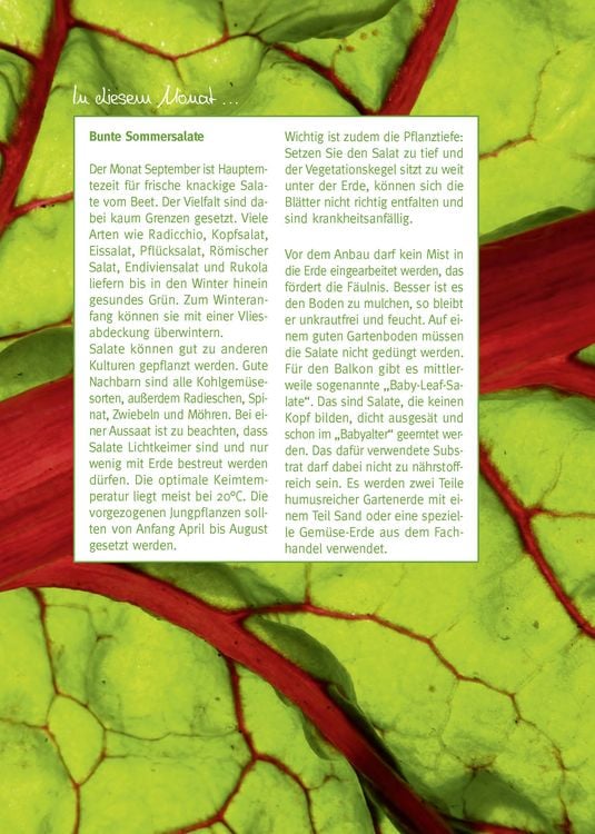 Produktbild: Mein Gartentagebuch f&uuml;r den Obst- und Gem&uuml;seg&auml;rtner