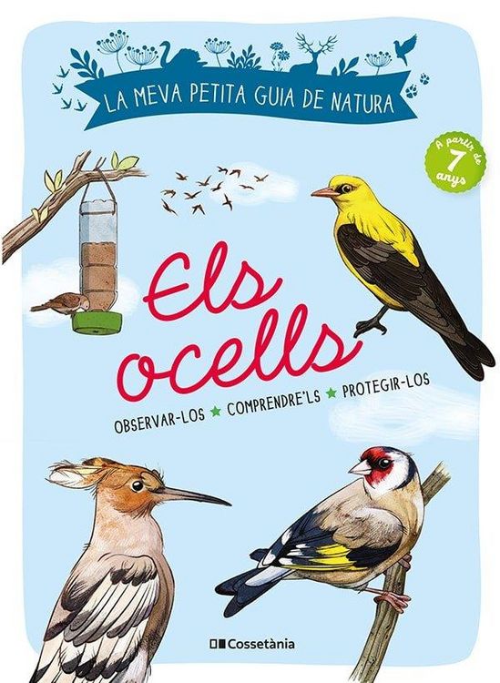 Produktbild: Els ocells : Observar-los. Comprendre'ls. Protegir-los.