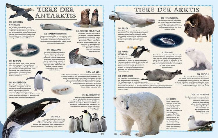 Produktbild: Der Weltatlas