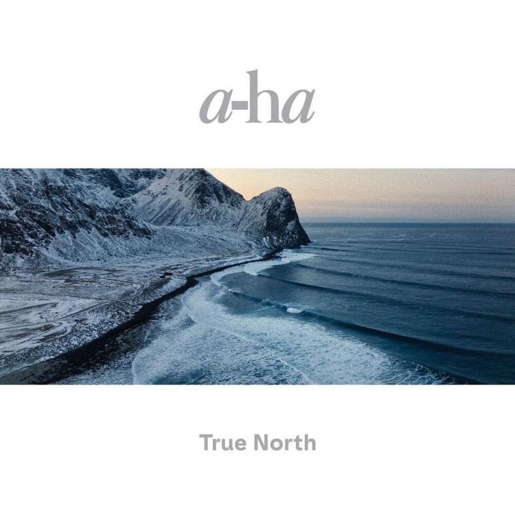 Produktbild: True North
